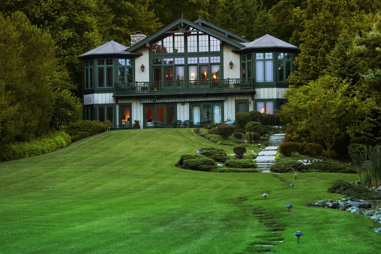 Turf